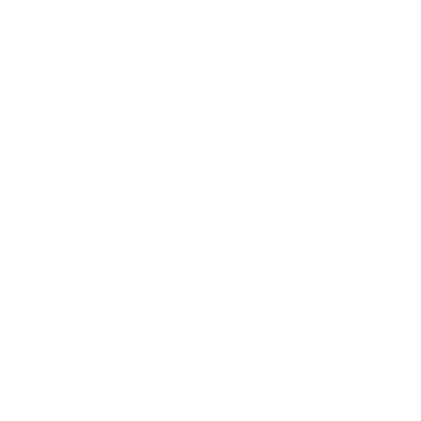 Gallery8 VIP Collection